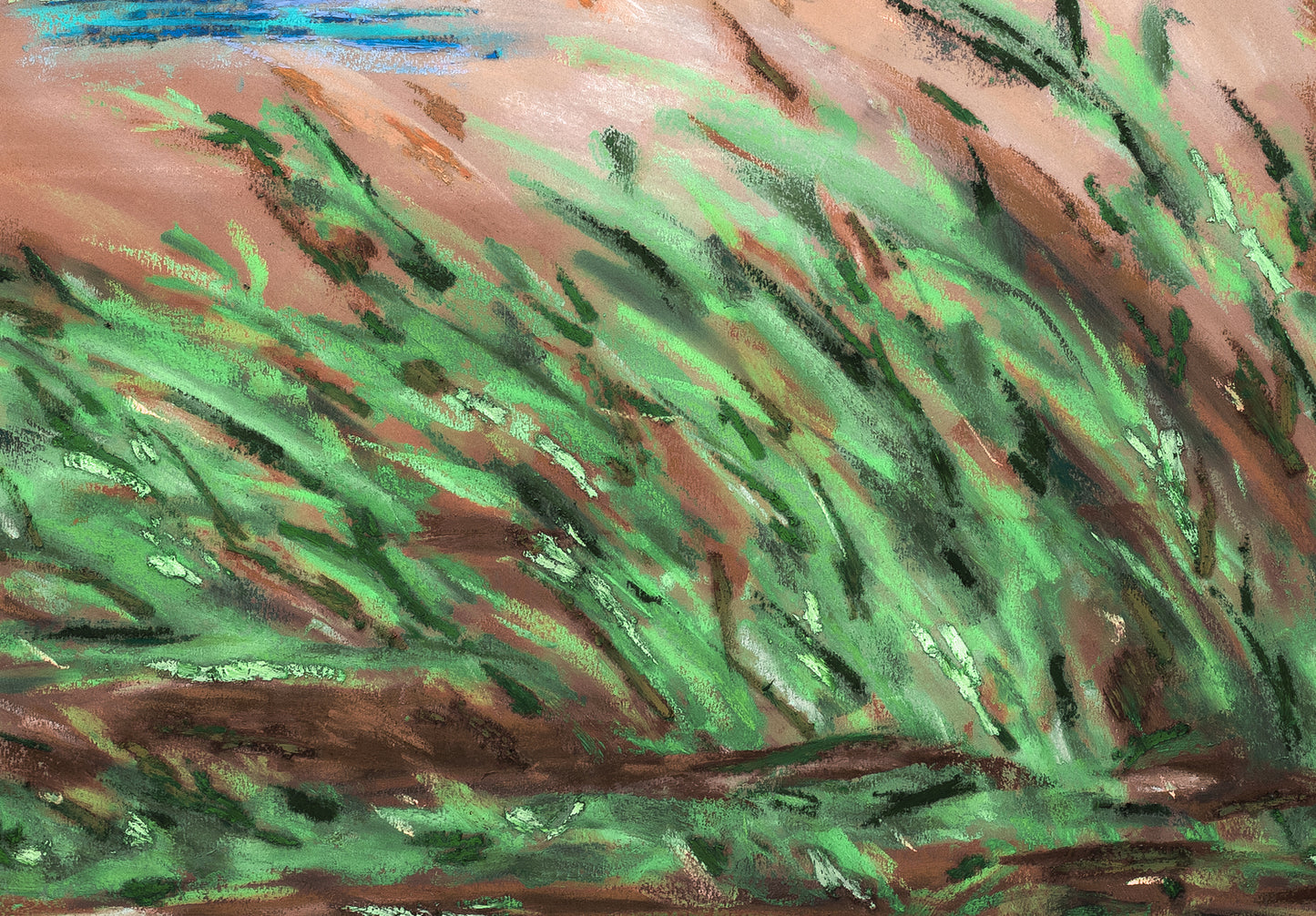 Wind Across the Dune