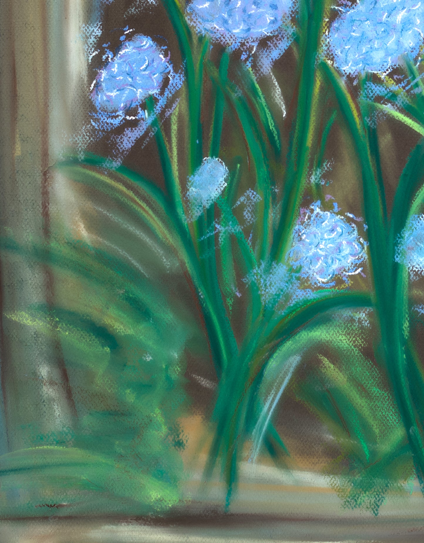 Hydrangea Breeze