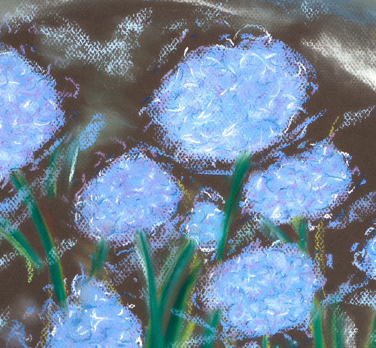 Hydrangea Breeze