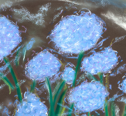 Hydrangea Breeze
