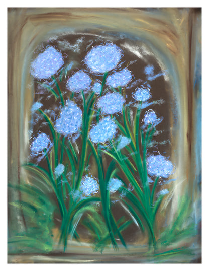 Hydrangea Breeze